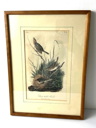 Original audubon octavo 2nd - octavo,
