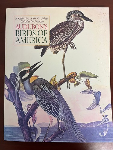 Audubon birds america - audubon's, 6