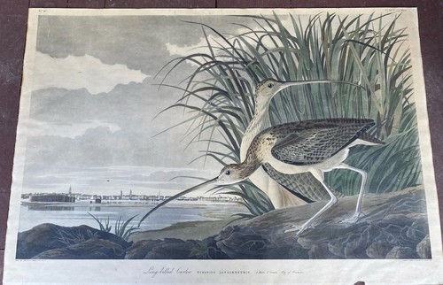 Audubon 1834 j whatman - 1834,